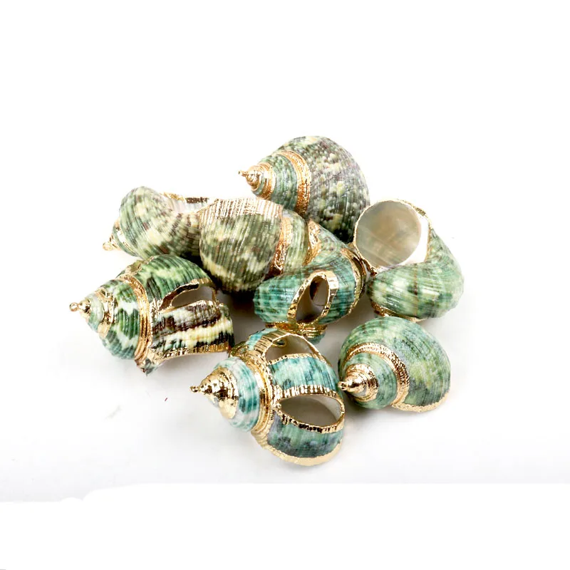 Yeşil Doğal Spiral Kabuk Altın Kaplama Deniz Kabukları DIY el yapımı Ev dekorasyon takı yapımı 5 adet 20-30mm Görüntü 1