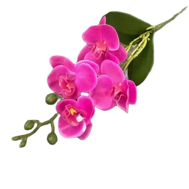5 adet Lateks Kelebek Orkide Simülasyon Gerçek Dokunmatik Phalaenopsis Orkide Yeşil Yapraklı Bitki Düğün için yapay çiçek Görüntü 0