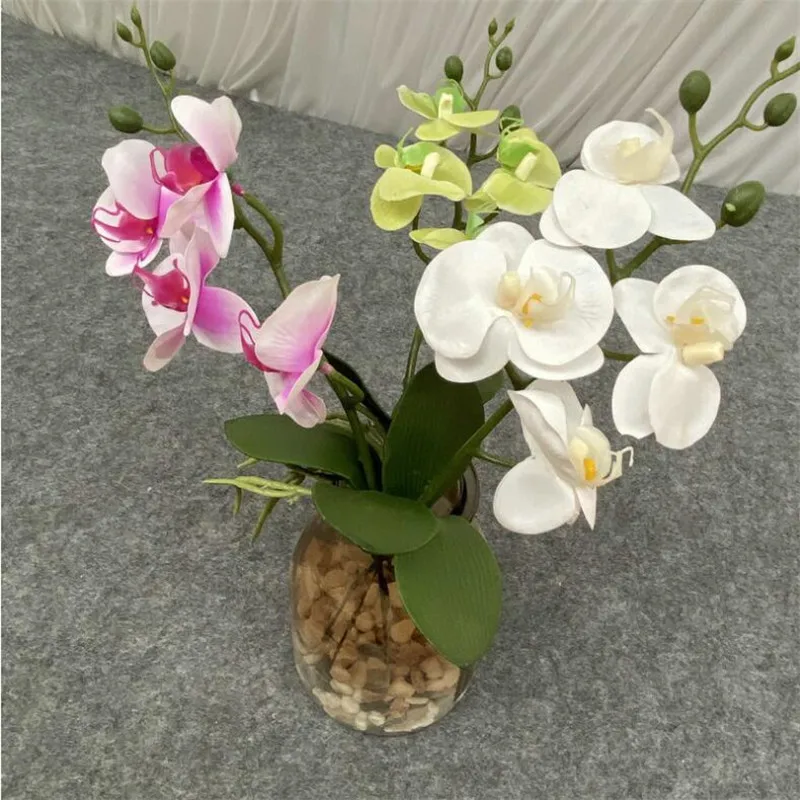 5 adet Lateks Kelebek Orkide Simülasyon Gerçek Dokunmatik Phalaenopsis Orkide Yeşil Yapraklı Bitki Düğün için yapay çiçek Görüntü 1
