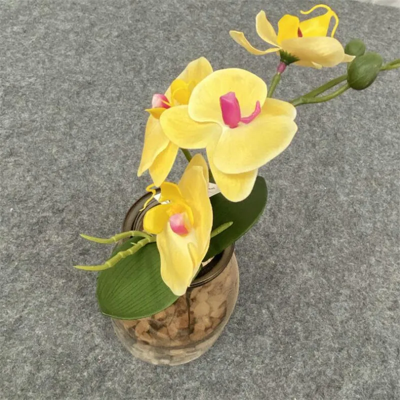 5 adet Lateks Kelebek Orkide Simülasyon Gerçek Dokunmatik Phalaenopsis Orkide Yeşil Yapraklı Bitki Düğün için yapay çiçek Görüntü 3