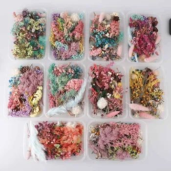 1 Kutu Mix Kurutulmuş Çiçekler Reçine Mücevher Kuru Bitkiler Preslenmiş Çiçekler Yapımı El Sanatları Kurutulmuş Çiçekler Kutusu DIY silikon kalıp
