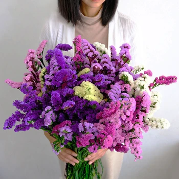 Doğal Kurutulmuş Çiçekler Unutma Buket Gerçek Çiçekler Ev Odası Dekor Düğün Dekorasyon Aksesuarları DIY Epoksi Reçine Malzeme