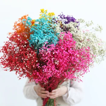 Gypsophile Süslemeleri Ev için Doğal Çiçekler Düğün Buket Buketleri Doğal Korunmuş Çiçekler Kurutulmuş Dekorasyon Noel
