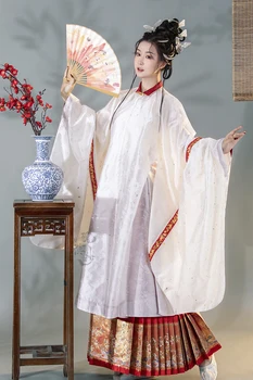 Orijinal Ming Hanedanı Hanfu Koyu desenli İplik Serpilir Altın Tam Welt Stand-Up Yaka Çapraz Uzun Gömlek-Treading Kar